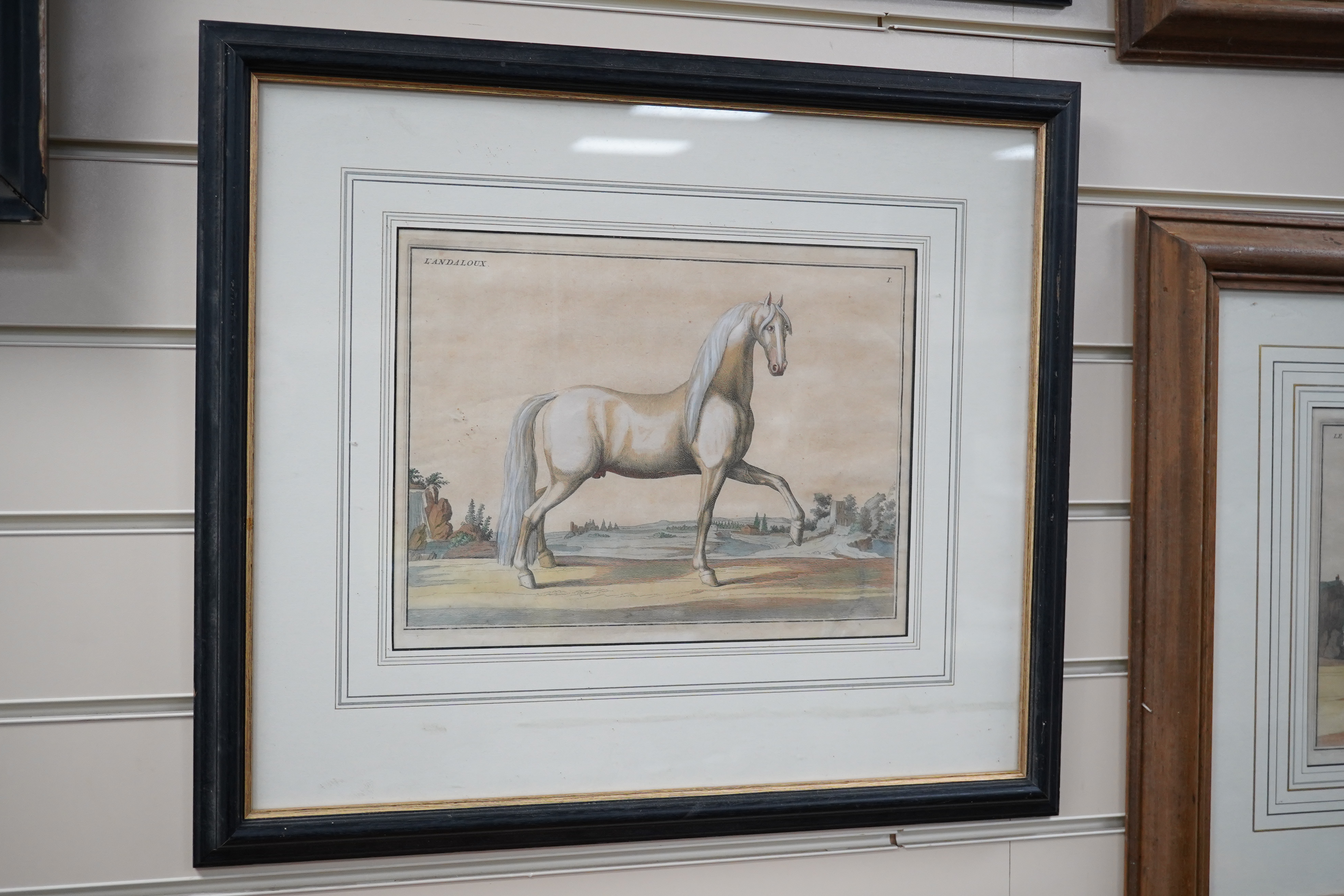 Four 18th/19th century coloured etchings, horses to include ‘Le Napolitain’ and ‘Le Turc’, 23 x 30cm. Condition - fair